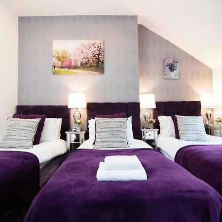 Apartment Luxury - Center - Large Garden With Hot Tub -7 Bedrooms-4 Bathrooms Galway